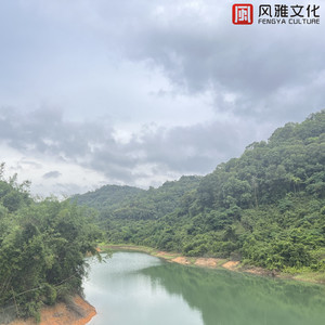 32084脱衣舞成人场景
